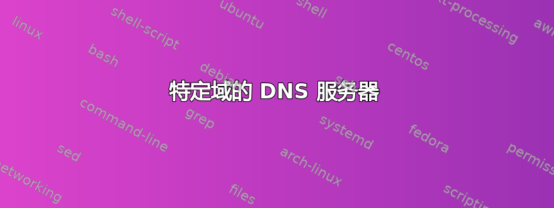 特定域的 DNS 服务器