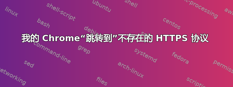 我的 Chrome“跳转到”不存在的 HTTPS 协议