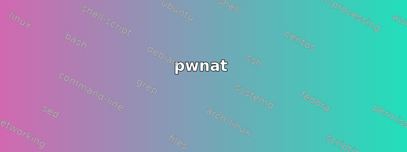 pwnat