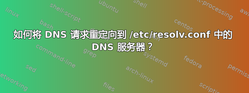 如何将 DNS 请求重定向到 /etc/resolv.conf 中的 DNS 服务器？