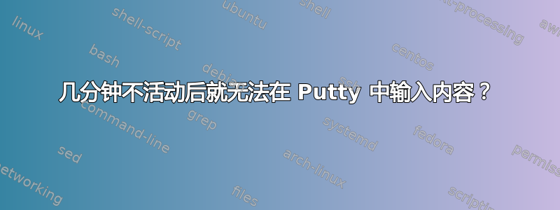 几分钟不活动后就无法在 Putty 中输入内容？