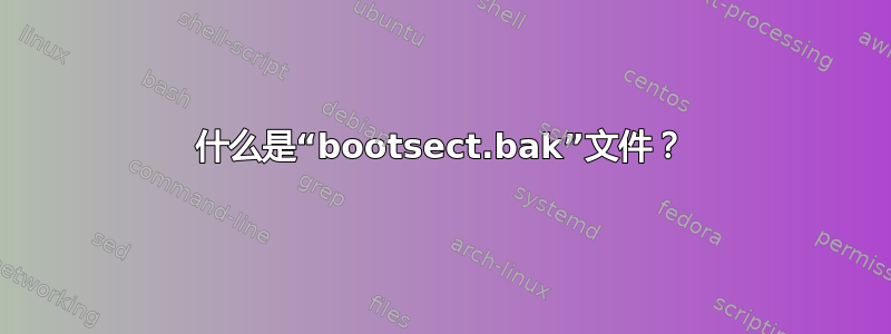 什么是“bootsect.bak”文件？