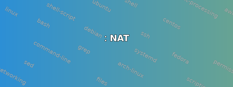 1：NAT