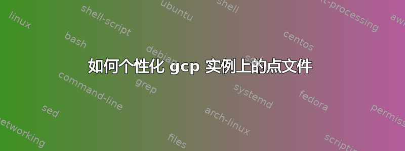 如何个性化 gcp 实例上的点文件