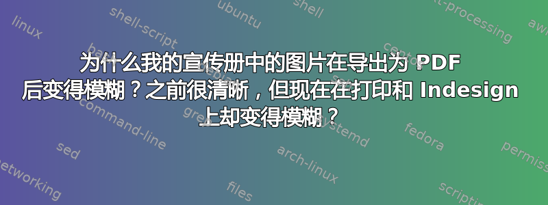 为什么我的宣传册中的图片在导出为 PDF 后变得模糊？之前很清晰，但现在在打印和 Indesign 上却变得模糊？