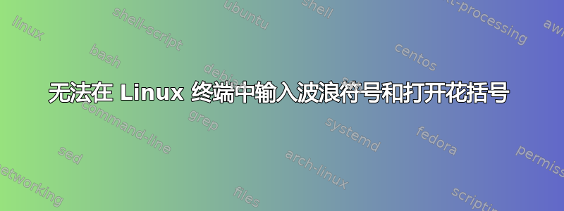 无法在 Linux 终端中输入波浪符号和打开花括号