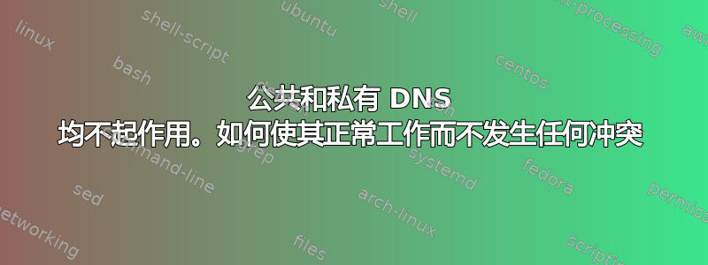 公共和私有 DNS 均不起作用。如何使其正常工作而不发生任何冲突