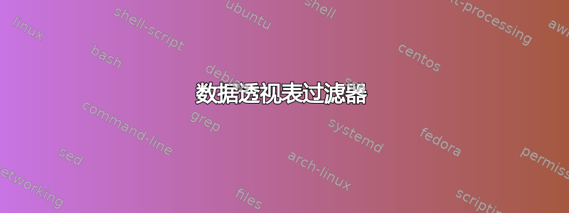 数据透视表过滤器