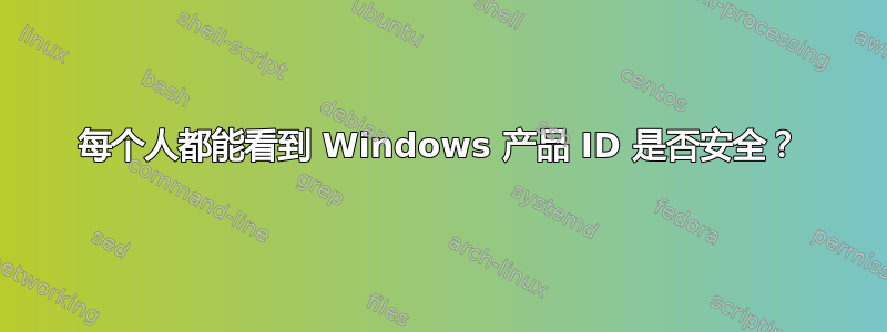 每个人都能看到 Windows 产品 ID 是否安全？