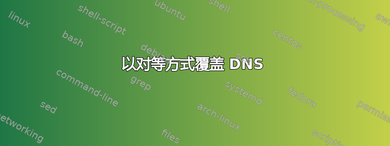 以对等方式覆盖 DNS