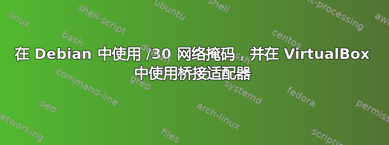 在 Debian 中使用 /30 网络掩码，并在 VirtualBox 中使用桥接适配器