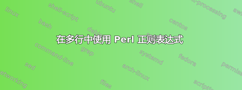 在多行中使用 Perl 正则表达式