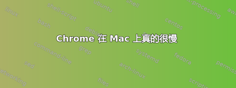 Chrome 在 Mac 上真的很慢