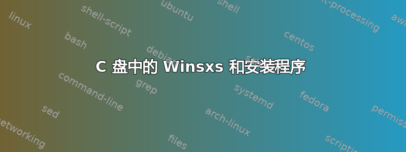 C 盘中的 Winsxs 和安装程序