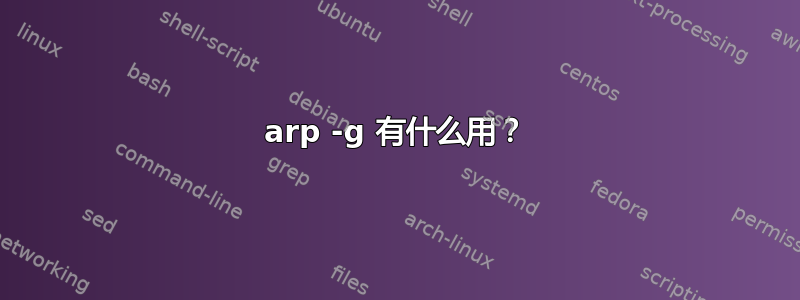 arp -g 有什么用？