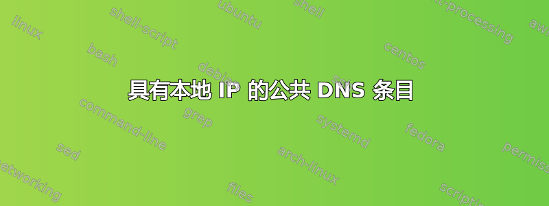 具有本地 IP 的公共 DNS 条目