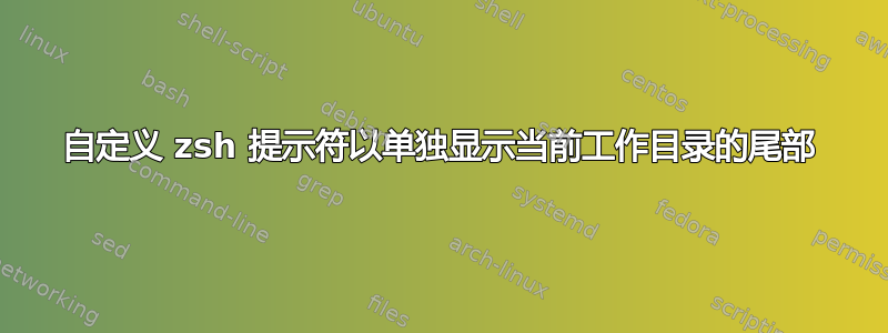 自定义 zsh 提示符以单独显示当前工作目录的尾部