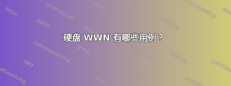 硬盘 WWN 有哪些用例？