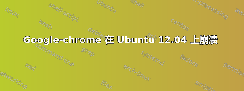Google-chrome 在 Ubuntu 12.04 上崩溃