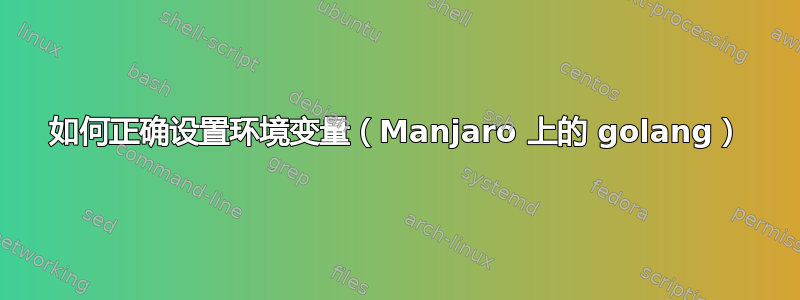 如何正确设置环境变量（Manjaro 上的 golang）