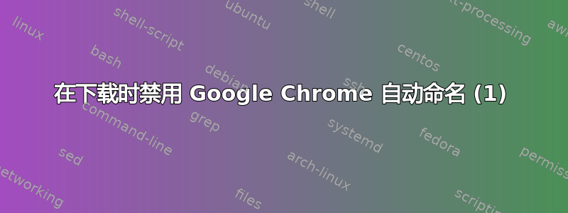 在下载时禁用 Google Chrome 自动命名 (1)