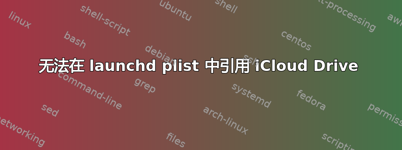 无法在 launchd plist 中引用 iCloud Drive