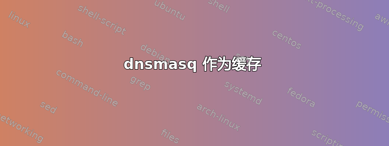 dnsmasq 作为缓存