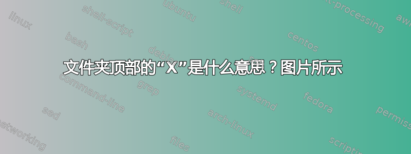 文件夹顶部的“X”是什么意思？图片所示