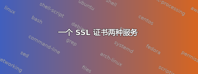 一个 SSL 证书两种服务