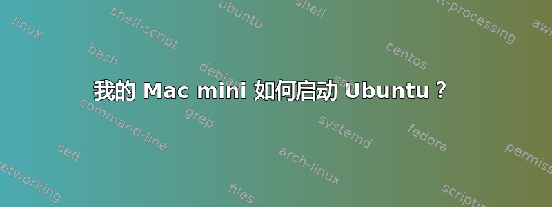 我的 Mac mini 如何启动 Ubuntu？