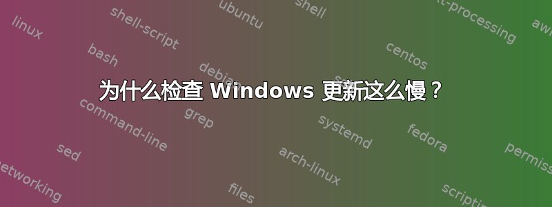 为什么检查 Windows 更新这么慢？