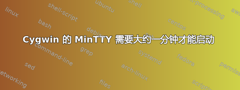 Cygwin 的 MinTTY 需要大约一分钟才能启动