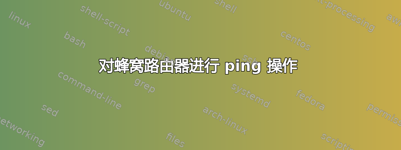 对蜂窝路由器进行 ping 操作