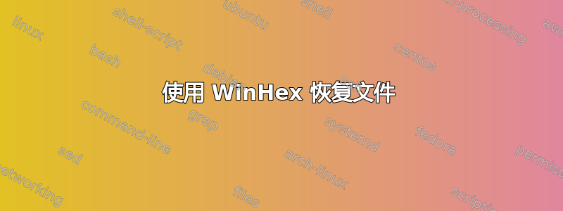 使用 WinHex 恢复文件