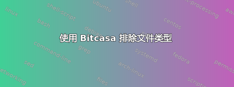 使用 Bitcasa 排除文件类型