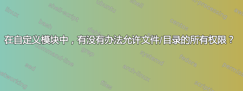 在自定义模块中，有没有办法允许文件/目录的所有权限？