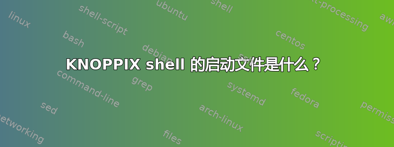 KNOPPIX shell 的启动文件是什么？