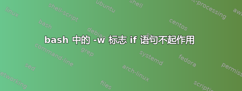 bash 中的 -w 标志 if 语句不起作用