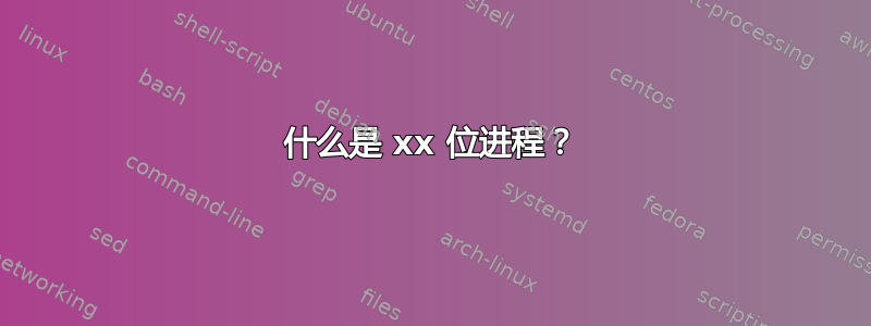 什么是 xx 位进程？