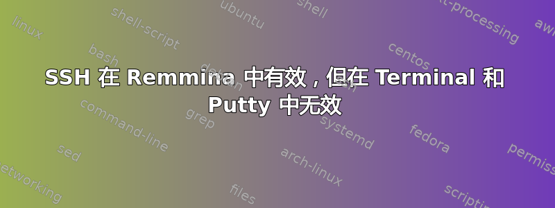 SSH 在 Remmina 中有效，但在 Terminal 和 Putty 中无效