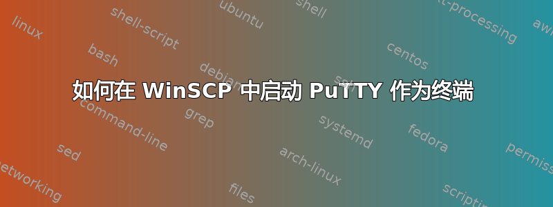 如何在 WinSCP 中启动 PuTTY 作为终端