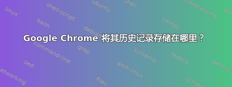 Google Chrome 将其历史记录存储在哪里？