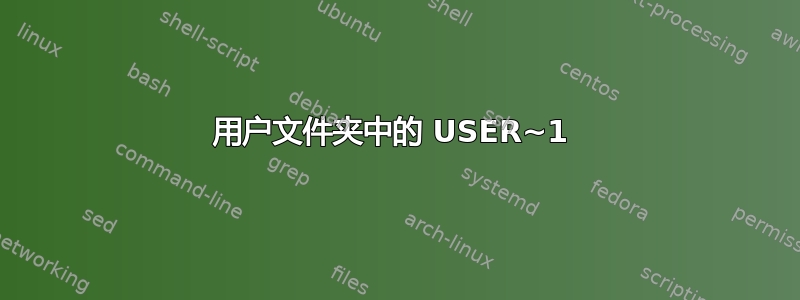 用户文件夹中的 USER~1 