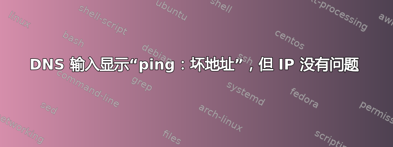 DNS 输入显示“ping：坏地址”，但 IP 没有问题