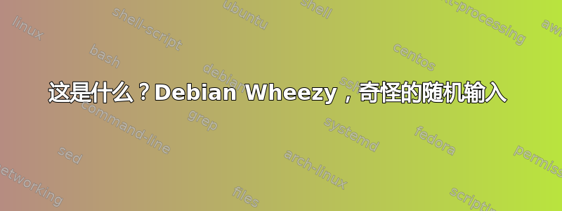 这是什么？Debian Wheezy，奇怪的随机输入