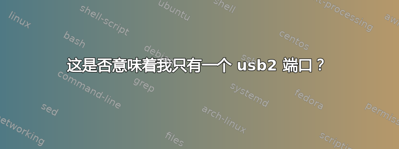 这是否意味着我只有一个 usb2 端口？