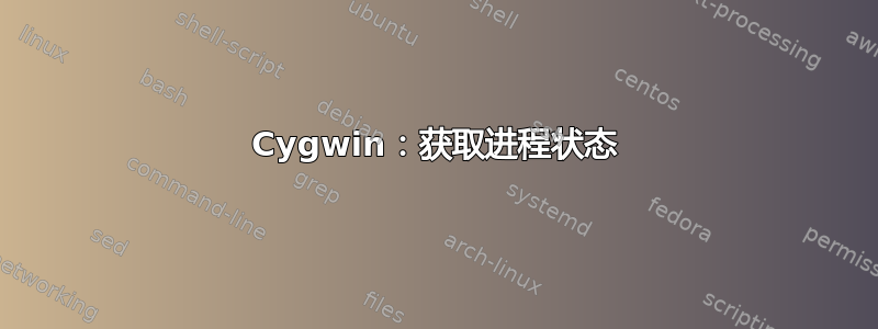 Cygwin：获取进程状态