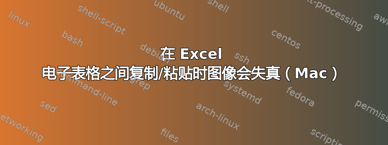 在 Excel 电子表格之间复制/粘贴时图像会失真（Mac）