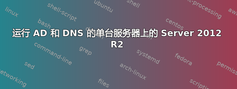 运行 AD 和 DNS 的单台服务器上的 Server 2012 R2