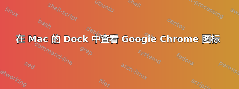 在 Mac 的 Dock 中查看 Google Chrome 图标